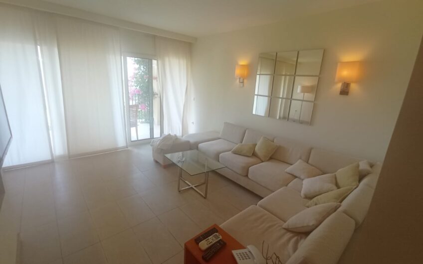 Elite Fully Furnished One Bedroom Apartment In Veranda